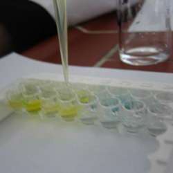 39S ribosomal protein L11, mitochondrial(MRPL11) ELISA kit | Technique alternative | 01014457998